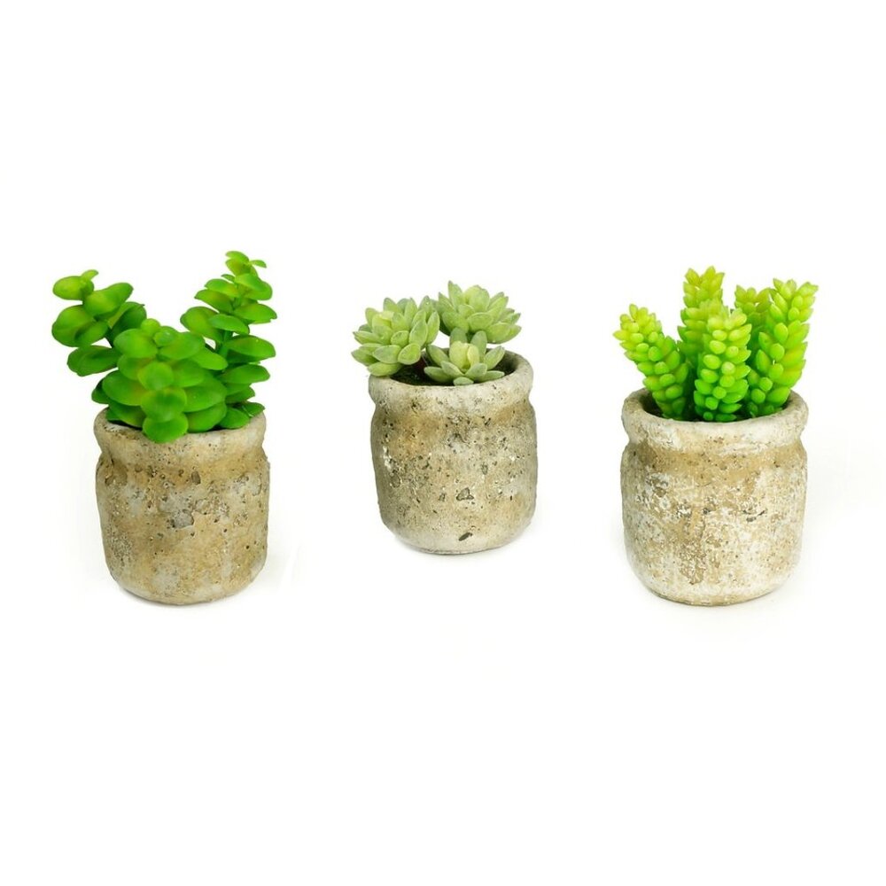 Set of 3 Faux Rustic Succulents in Cement Pots